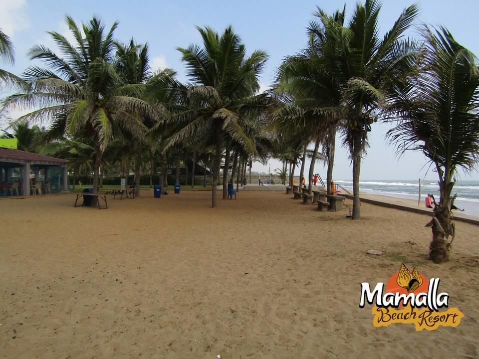 Mamalla Beach Resort Mahabalipuram Exterior photo